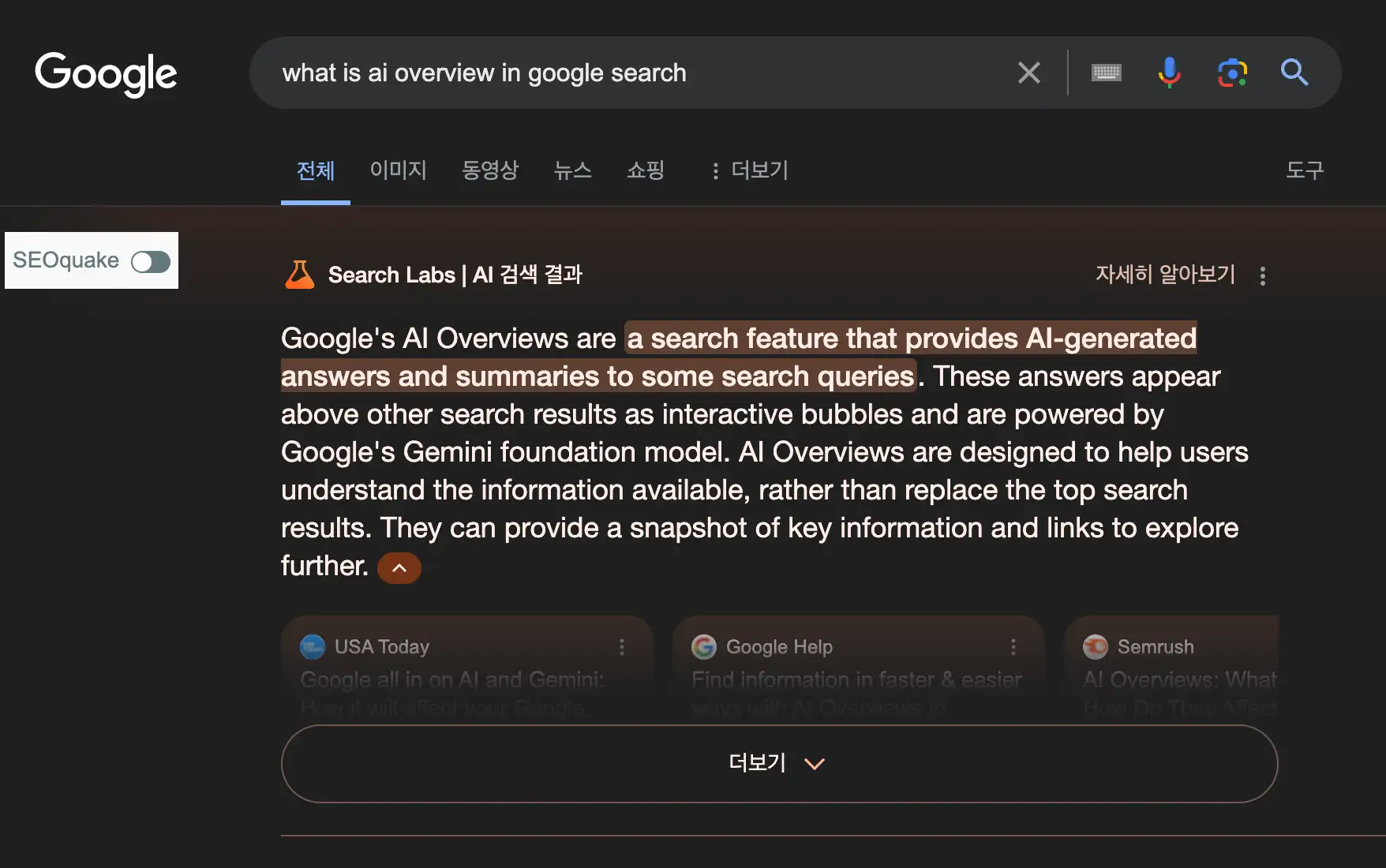 구글 인공지능 검색 결과 'AI Overview' 결과 화면